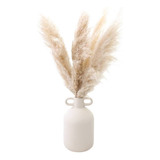 Capim Dos Pampas Decoração Plumas Natural Seco Com 4 Hastes