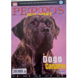 Dogo Canario May 2003