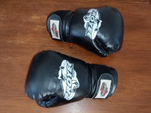 Guantes Boxeo / Kick-boxing - Proyec / 12 Onz. Muy Buenos