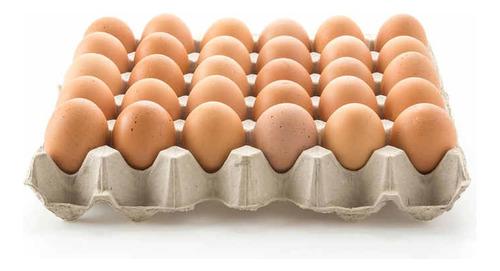 Huevos Fértiles De Pollos De Engonda Brolier Cobb 500