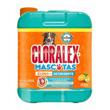 Cloralex Mascotas Elimina Malos Olores 10 L