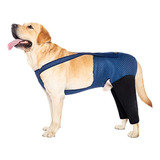 Traje De Recuperación De Perro Coodeo, Alternativa De Collar