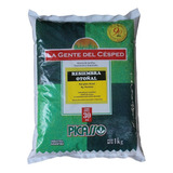 Cesped Resiembra Otoñal 5kg Ryegrass Anual Y Perenne Picasso