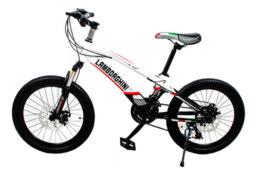 Bicicleta Mountain Bike Rodado 20 Lamborghini 7159