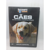 Dvd - Discovery Chanel - Cães - Os Melhores Amigos Do Homem 