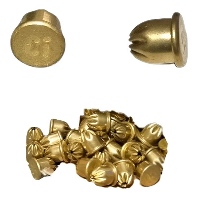Super Salva Ci .22mm Para Pistolas Rifles Mendoza Cabañas | Envío gratis
