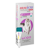 Bravecto Plus Gatos Transdermal De 6,25 A 12,5 Kg - 500 Mg