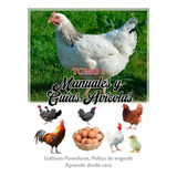 Manuales Guías Gallina Ponedora Pollos De Engorde Excel Pdf