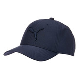 Gorro Para Hombre  Puma Evercat Icon Gorra Snapback Para Hom