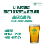 Kit Insumos Receita De Cerveja Artesanal American Ipa - 50l