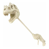 Artcreativity Dinosaurio Fósil Snapper Con Sonido, 1 Pc, Din