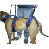 Arnés De Sujeción Suave Para Perros Discapacitados Talle 3