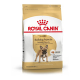 Royal Canin Bulldog Frances Adulto X 3 Kg Kangoo Pet