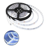 Rollo De Led (300 Led) 5 Metros - Blanco 12v - Lux Led