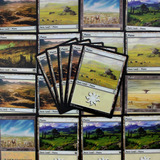 Cartas Magic : Llanuras X10 Tierras Basicas Blancas Mtg Bsas