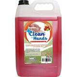 Clean Hands | Jabón Líquido Antibacterial 5 L