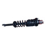 Amortiguador Trasero Con Espiral Strut  Honda Accord 94-97 Honda Accord