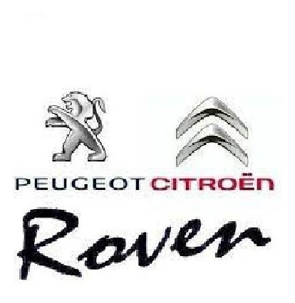 Radiador Peugeot 206 1.6 16v Foto 3