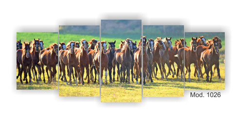 Cuadro Somos Muchos! Poliptico Deco Caballos Foto Tropilla