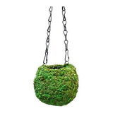 Supermoss (29346) Jardinera Kokedama, 4, Verde Fresco