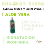 Shampoo Verde, Yegualash, Colágeno Jumbo