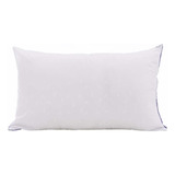 Almohada Springwall Fibra Siliconada 70 X 40