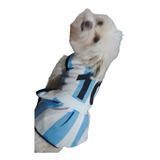 Vestido Perro Gato Camiseta Selección Argentina