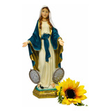 Virgen De La Medalla Milagrosa En Porcelana 30 Cm + Novena