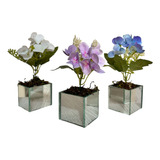 Três Vasinhos Mini Arranjo De Orquídeas Vaso Espelhado