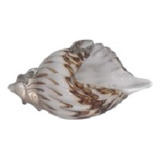 Caracol Vidrio Macizo Decorativo Tipo Cristal Murano 16 X7cm