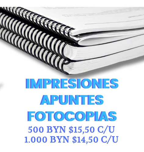 Impresión De Apuntes/fotocopias/resúmenes/libros En 24/48hs