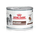 Royal Canin Recovery Lata 195 Grs. Perro Y Gato