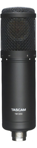 Micrófono De Condensador Tascam Tm-280, Color Negro