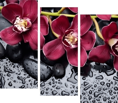 Quadros Decorativos Lavabo Orquídeas Sala Cozinha Flor Casa