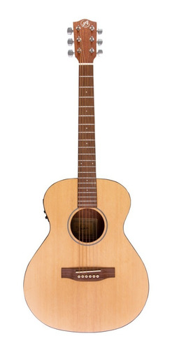 Guitarra Electroacústica 38 Bamboo Con Funda Ga-38-spruce-q
