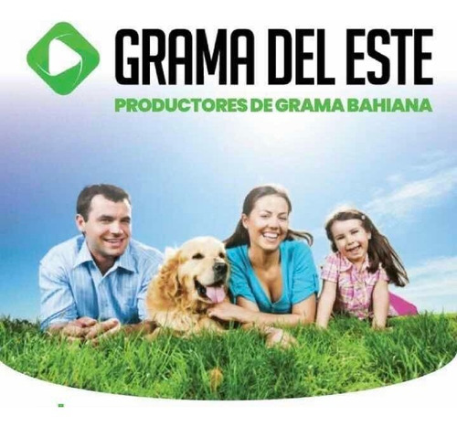 Grama Bahiana Promoción Nueva Cosecha..!!!