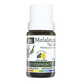 Óleo Essencial Melaleuca Wnf Tea Tree Puro Natural 5ml