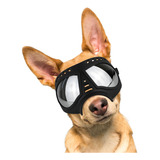 Gafas De Sol Uv Para Perro Grande