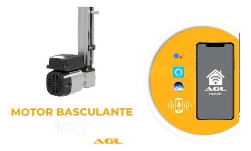 Izzy New Bv3 1/3hp Basculante Acionamento 1,5m Wi-fi Alexa Frequência 60hz 220v