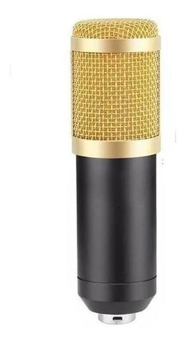 Microfone Condensador Profissional: Bm-800 Para Estúdio