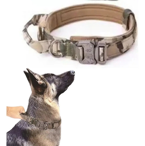 Collar Táctico Militar Perro K9 Ajustable Hebilla Metalica