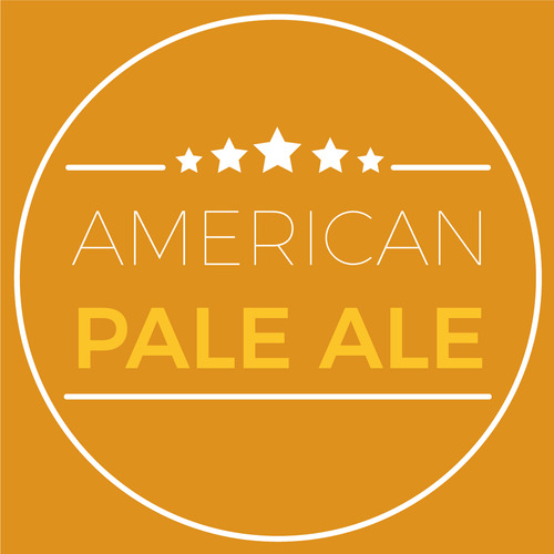 Kit Insumos Cerveza Artesanal American Pale Ale X 20 Lts