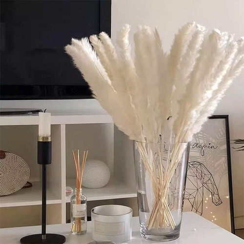 30 Piezas De Plumas De Hierba De Pampa Secas Para Decoración