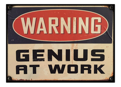 #55 - Cuadro Vintage 21 X 29 Cm / Warning Genius At Work!
