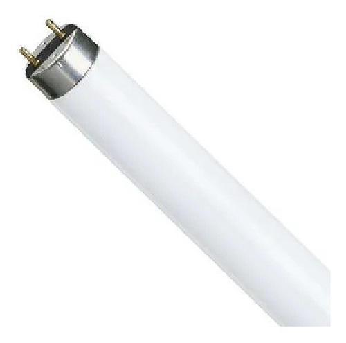 Lampada Fluorescente T10 20w 5000k G13 Luz Do Dia Philips