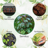 15 Semillas De Planta Higuerrilla Con Kit De Germinación