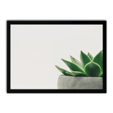 Quadro Decorativo Vaso Clean Planta Suculenta