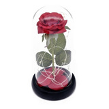 Cúpula De Vidrio Flor Rosa Con 21 Luces Led Decorativo 