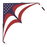 Delta Kite Para Niños Adultos Easy To Fly American Flag Kit
