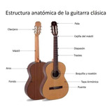 Guitarra Para Principiantes Clásica 